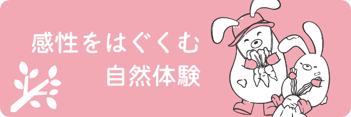 自然体験